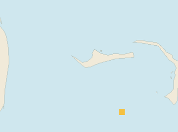 Satellite floating-algae map near Grand Bahama, Aug 2023 (opens full map image in a new tab)