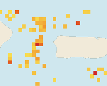 Satellite floating-algae map near Rincon, Aug 2023 (opens full map image in a new tab)