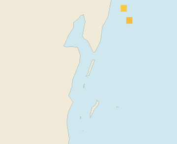 Satellite floating-algae map near Ambergris Caye, Sep 2023 (opens full map image in a new tab)