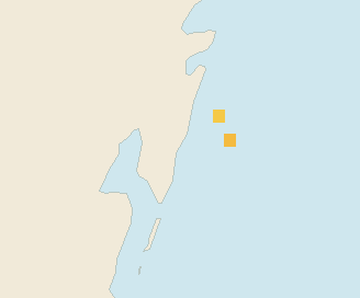 Satellite floating-algae map near Mahahual, Sep 2023 (opens full map image in a new tab)