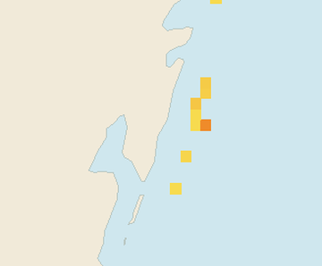 Satellite floating-algae map near Mahahual, Oct 2023 (opens full map image in a new tab)