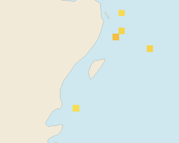 Satellite floating-algae map near Akumal, Nov 2023 (opens full map image in a new tab)