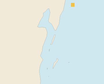 Satellite floating-algae map near Ambergris Caye, Nov 2023 (opens full map image in a new tab)