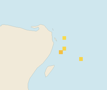 Satellite floating-algae map near Cancun Hotel Zone, Nov 2023 (opens full map image in a new tab)