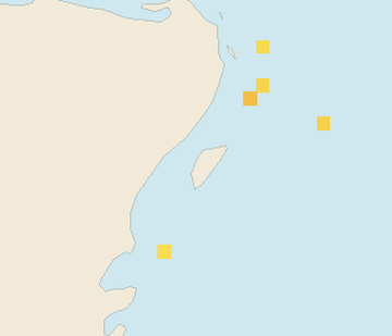 Satellite floating-algae map near Cozumel (west coast), Nov 2023 (opens full map image in a new tab)
