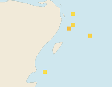 Satellite floating-algae map near Puerto Aventuras, Nov 2023 (opens full map image in a new tab)