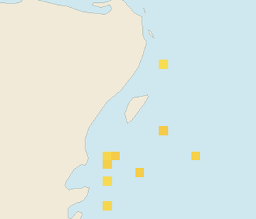Satellite floating-algae map near Cozumel (west coast), Dec 2023 (opens full map image in a new tab)
