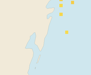 Satellite floating-algae map near Mahahual, Dec 2023 (opens full map image in a new tab)