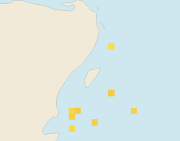 Satellite floating-algae map near Puerto Aventuras, Dec 2023 (opens full map image in a new tab)