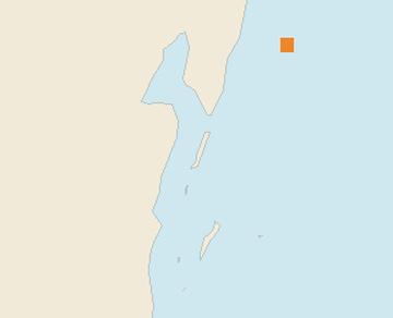 Satellite floating-algae map near Ambergris Caye, Jan 2024 (opens full map image in a new tab)