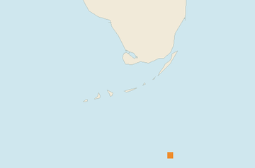 Satellite floating-algae map near Florida Keys, Jan 2024 (opens full map image in a new tab)