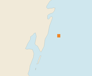 Satellite floating-algae map near Mahahual, Jan 2024 (opens full map image in a new tab)