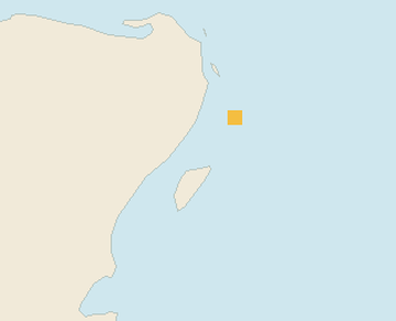 Satellite floating-algae map near Playa del Carmen, Jan 2024 (opens full map image in a new tab)