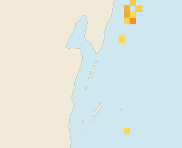 Satellite floating-algae map near Ambergris Caye, Feb 2024 (opens full map image in a new tab)