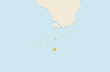 Satellite floating-algae map near Florida Keys, Feb 2024 (opens full map image in a new tab)