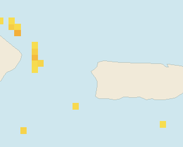 Satellite floating-algae map near Rincon, Mar 2024 (opens full map image in a new tab)
