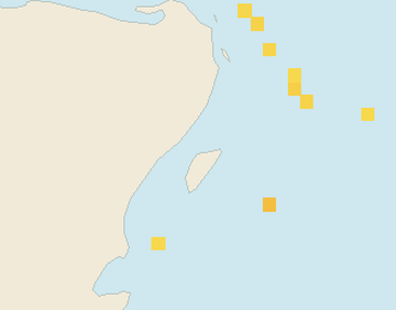 Satellite floating-algae map near Puerto Aventuras, Apr 2024 (opens full map image in a new tab)