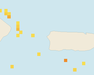 Satellite floating-algae map near Rincon, Apr 2024 (opens full map image in a new tab)