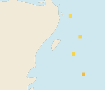 Satellite floating-algae map near Cozumel (west coast), May 2024 (opens full map image in a new tab)