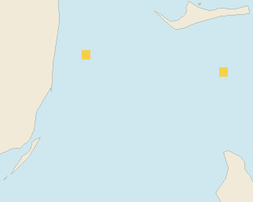 Satellite floating-algae map near Bimini, Jun 2024 (opens full map image in a new tab)