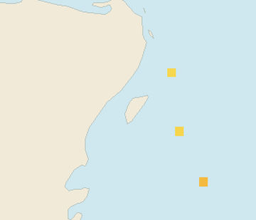 Satellite floating-algae map near Cozumel (west coast), Jun 2024 (opens full map image in a new tab)