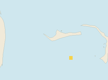 Satellite floating-algae map near Grand Bahama, Jul 2024 (opens full map image in a new tab)