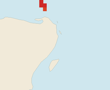 Satellite floating-algae map near Puerto Morelos, Jul 2024 (opens full map image in a new tab)