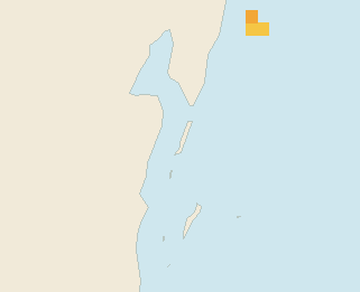 Satellite floating-algae map near Ambergris Caye, Aug 2024 (opens full map image in a new tab)