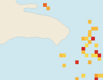 Satellite floating-algae map near Bayahibe, Aug 2024 (opens full map image in a new tab)