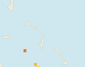 Satellite floating-algae map near Eleuthera, Aug 2024 (opens full map image in a new tab)