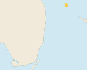 Satellite floating-algae map near Fort Lauderdale, Aug 2024 (opens full map image in a new tab)