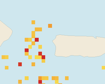 Satellite floating-algae map near Rincon, Aug 2024 (opens full map image in a new tab)