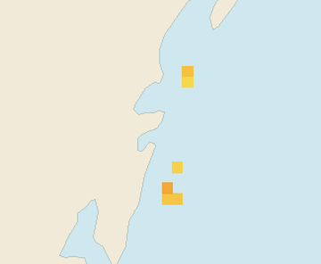 Satellite floating-algae map near Tulum Beach Zone, Aug 2024 (opens full map image in a new tab)
