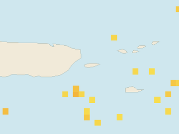 Satellite floating-algae map near Vieques, Aug 2024 (opens full map image in a new tab)