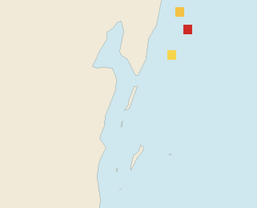 Satellite floating-algae map near Ambergris Caye, Sep 2024 (opens full map image in a new tab)
