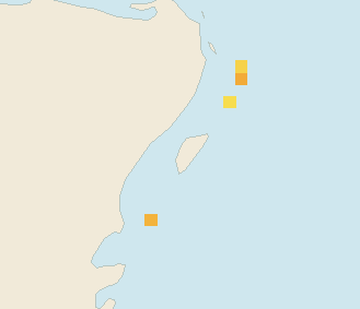 Satellite floating-algae map near Cozumel (west coast), Sep 2024 (opens full map image in a new tab)
