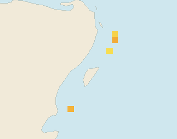 Satellite floating-algae map near Puerto Aventuras, Sep 2024 (opens full map image in a new tab)