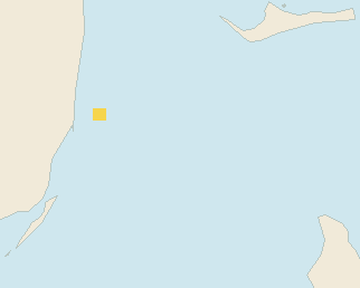 Satellite floating-algae map near Bimini, Oct 2024 (opens full map image in a new tab)