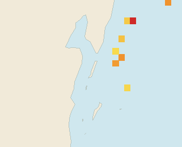 Satellite floating-algae map near Ambergris Caye, Nov 2024 (opens full map image in a new tab)