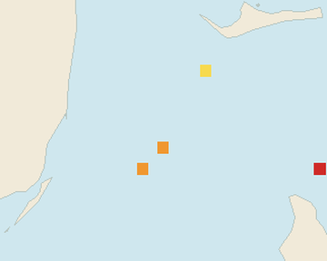 Satellite floating-algae map near Bimini, Nov 2024 (opens full map image in a new tab)