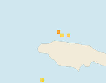 Satellite floating-algae map near Montego Bay, Nov 2024 (opens full map image in a new tab)