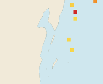 Satellite floating-algae map near Ambergris Caye, Dec 2024 (opens full map image in a new tab)