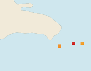 Satellite floating-algae map near Bayahibe, Dec 2024 (opens full map image in a new tab)