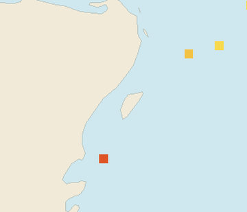 Satellite floating-algae map near Cozumel (west coast), Dec 2024 (opens full map image in a new tab)
