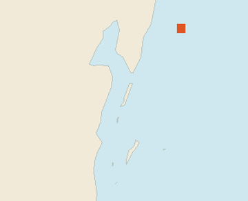 Satellite floating-algae map near Ambergris Caye, Jan 2025 (opens full map image in a new tab)