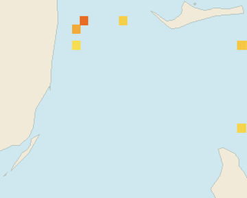 Satellite floating-algae map near Bimini, Jan 2025 (opens full map image in a new tab)
