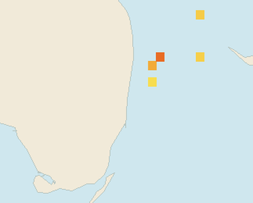Satellite floating-algae map near Fort Lauderdale, Jan 2025 (opens full map image in a new tab)
