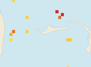 Satellite floating-algae map near Grand Bahama, Jan 2025 (opens full map image in a new tab)