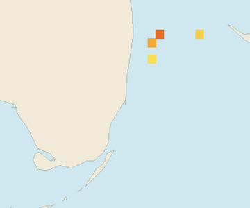 Satellite floating-algae map near Miami Beach, Jan 2025 (opens full map image in a new tab)