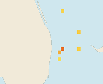 Satellite floating-algae map near Palm Beach, Jan 2025 (opens full map image in a new tab)